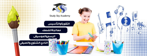 Study Sky Academy 